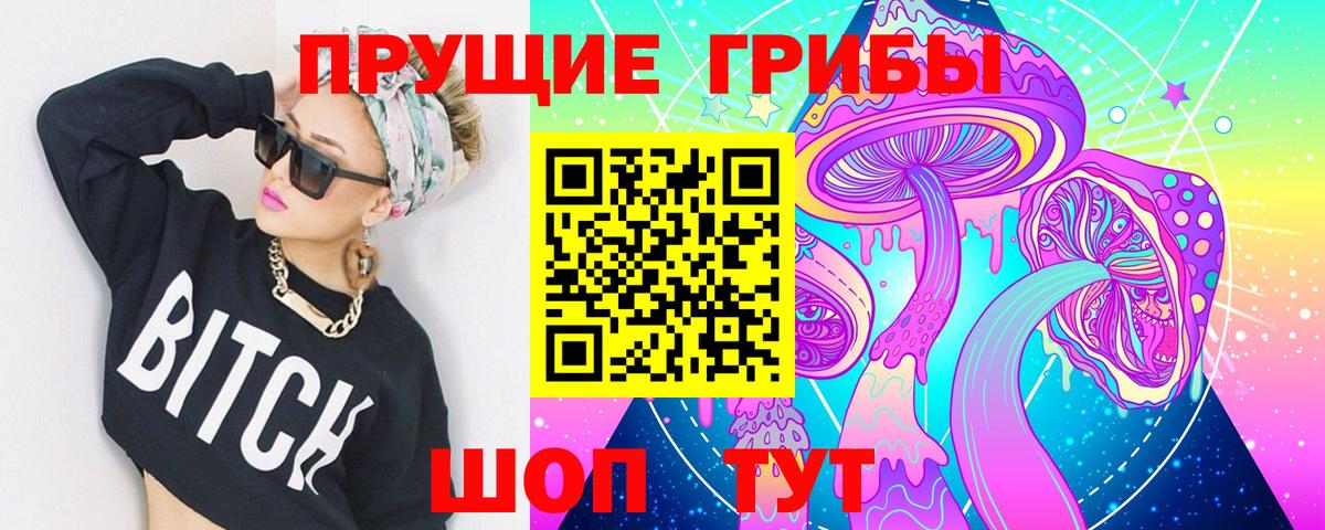Псилоцибиновые грибы Psilocybine cubensis Троицк