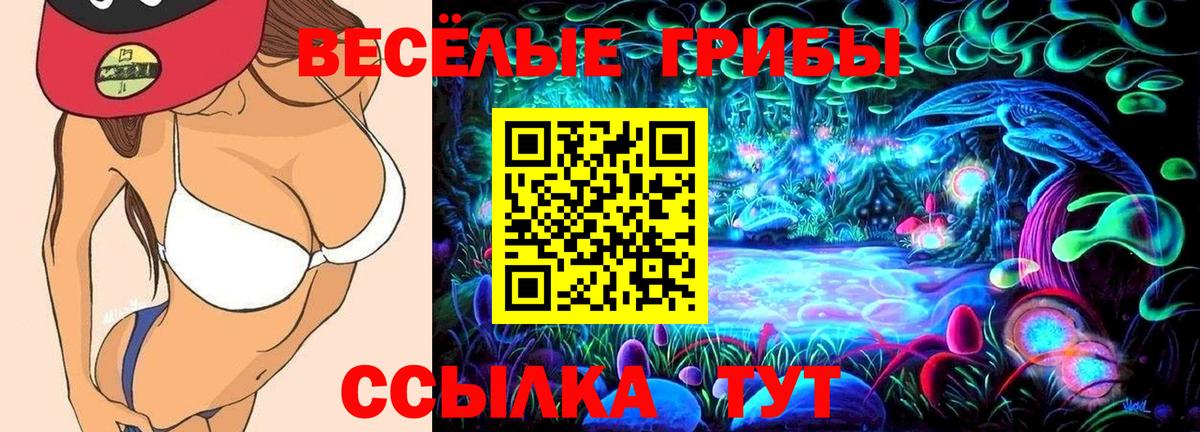 Троицк  Псилоцибиновые грибы Psilocybine cubensis  купить наркоту  Вход с VPN 