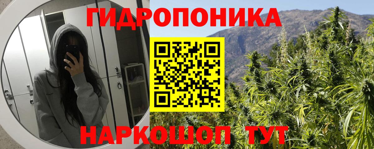 МЕФ Троицк